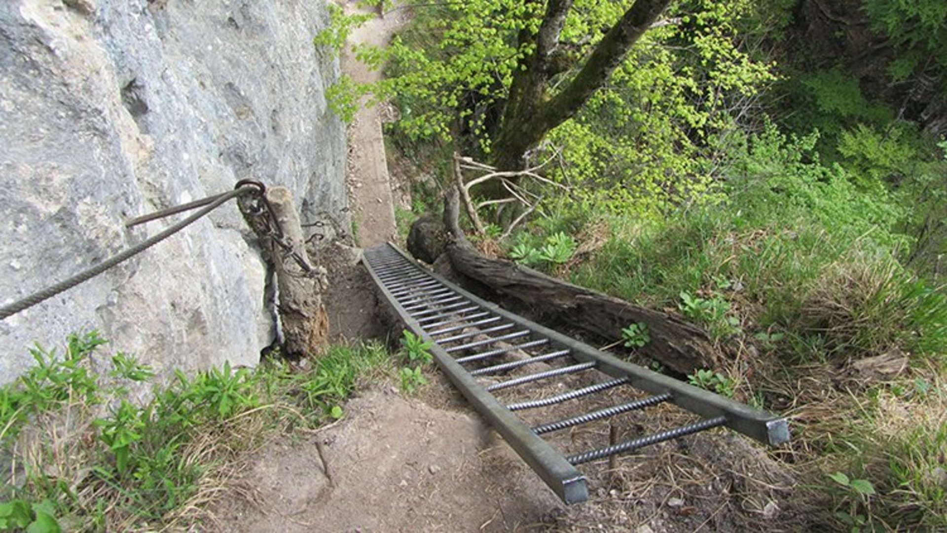 Abstieg Drachenwand - Hirschsteig © TVB Mondsee-Irrsee Gefährlicher, seilversicherter Steig mit Leitern - der Hirschsteig auf die Drachenwand.